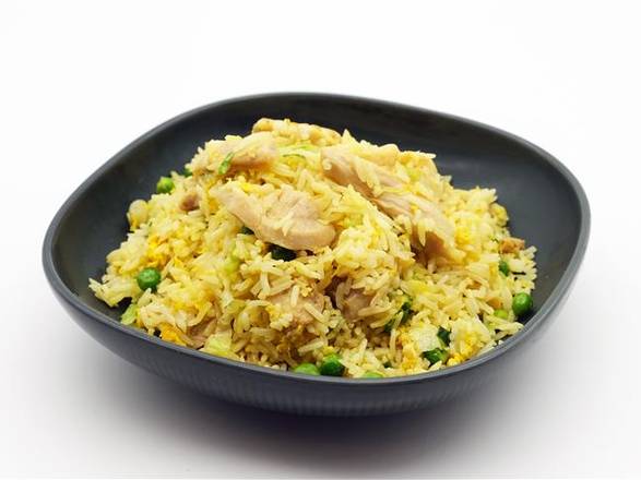H11 Diced Chicken with Salted Fish Fried Rice 咸魚雞粒炒飯